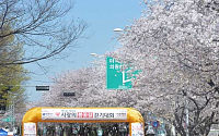 [포토]여의도 사랑의 봄꽃길 걷기대회 '봄나들이 나왔어요'
