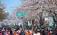 [봄꽃길 걷기대회] 식전 행사에 시민들 웃음꽃 만발
