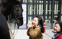 고덕 래미안 힐스테이트 견본주택 승마 이벤트 진행