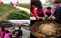 ‘한국인의 밥상’ 바닷물 먹고 사는 염생식물 함초 눈길