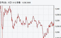 [종합]환율 1030원대 후반으로 반등…제한된 움직임