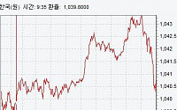 [종합]원·달러 환율 1040원에 턱걸이