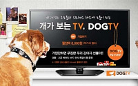 티브로드, 개(DOG) 전용채널 제공