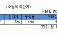 [오늘의 하한가]뉴프라이드, 관리종목 지정우려에↓