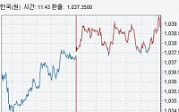 [종합]환율 ‘옐런 발언’에도 상승 마감…결제수요 영향