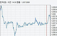 [종합]원·달러 환율 1030원대 중후반서 횡보…부활절 영향