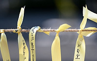 [포토]노란리본 캠페인, '무사귀환을 기원합니다'