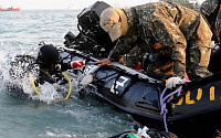[세월호 침몰] 민간잠수사 철수 '전문성 격하, 작업 배제'...해경, 실력 인정하더니…