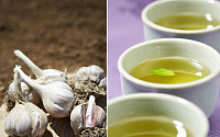 녹차와 마늘로 황사·꽃가루 피해 날리세요.