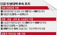 세월호 피해업종 지원, 300억원→1000억원 확대