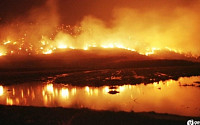고성 산불 확산일로, 광산초등학교생 긴급 대피...20년 전에도 대규모 산불 발생