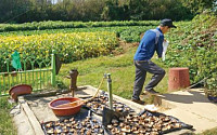 [귀농정착 성공사례(9)] “직장과 농사 병행하며 ‘표고 전업농’ 준비해요”