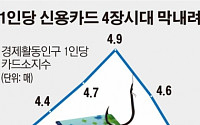 [그래픽뉴스] 지난해 1인당 신용카드 3.9장 보유