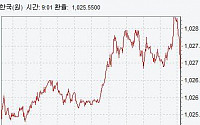 [종합]원·달러 환율 1.6원 상승 마감…당국개입 경계감 영향