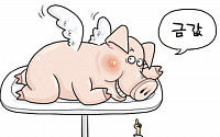 [온라인 와글와글] 돼지고기 공급 늘었다는데 왜 아직도 금값?