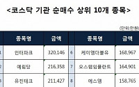 [코스닥 기관 순매수 상위 10개 종목]