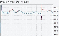 [종합]외환당국, 환율 1020원 턱걸이 사수…“1010원대 진입은 시간 문제”