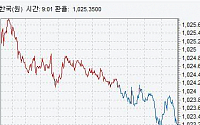 [종합]원·달러 환율 하락 마감…네고물량 영향