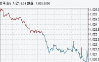 [종합]원·달러 환율 수급에 밀려 1020원선 재위협…원·엔 이틀째 100엔당 900원대