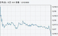 [종합]원·달러 환율 1010원대 안착…ECB 통화완화 조치 영향