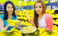 홈플러스, 바나나 ‘시즌 최저가’… 송이당 3980원 판매