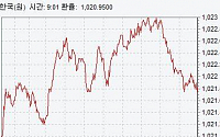 [종합]환율 이틀째 1020원대 초반서 마감…이라크 사태·FOMC 경계감 영향