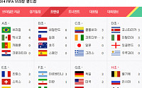 [2014 브라질월드컵] 월드컵 조별 순위, 승점 선두는 네덜란드·칠레…한국 몇 점 획득해야 하나?