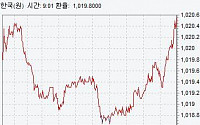 [종합]원·달러 환율 하루만에 1020원대 회복…외국인 주식매도 영향