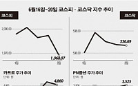[베스트&amp;워스트]코스닥,‘PN풍년’ 경쟁사 상장에 재평가 기대감 39% 껑충