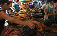 [포토] 중국 '개고기 축제'... 동물애호가 반발