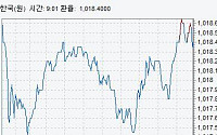 [종합]원·달러 환율 약보합 마감