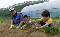 삼성물산, 자매마을 농촌 일손돕기 봉사활동