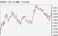 [종합]원·달러 환율, 월말에도 2.6원 상승마감…이라크 불안 영향