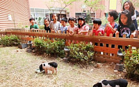 마리오아울렛 “매장안 동물농장 놀러오세요”