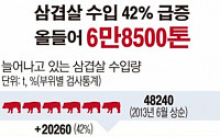 [숫자로 본 뉴스]‘금겹살’여파에 삼겹살 수입 42%나 급증