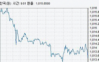 [종합]원·달러 환율 1013.4원 마감…5년11개월만에 최저