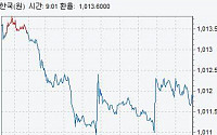 [종합2]환율, 당국개입으로 1010원선 지켜졌지만…3분기에 세자리까지 하락