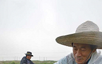 [포토]태풍 '너구리' 북상-'고추밭 살펴보는 농민들'