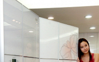 LG디오스 홈바 키운 2009년형 양문형 냉장고 출시