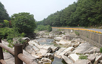 [서경덕의 전국 유명 휴양림을 찾아]단양의 멋과 아름다움을 황정산에서 느끼다