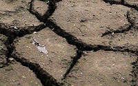 [포토] 극심한 가뭄에 갈라진 저수지 바닥