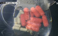 ‘박봄 밀수 의혹’ 암페타민, ‘공부 잘하는 약’으로 둔갑...약국서 구할 수 있다