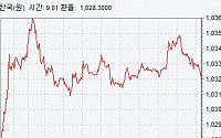 원·달러 환율, 2개월여 만에 1030원선으로 회귀