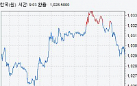 원·달러 환율 다시 1020원대로 미끄러져