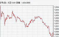 환율 강보합 마감…지정학적 리스크 부각+외국인 순매도 영향