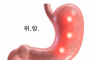 유채영 사투 벌이고 있는 '위암'은 어떤 병?