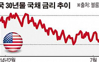 美정부, 만기 30년 넘는 초장기 국채 발행 검토