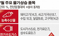 21개월째 저물가 이어갔지만…이른 여름추석에 체감물가는 '걱정'