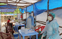 [에볼라와 경제] '에볼라 공포'…바짝 긴장한 정부와 국내기업들