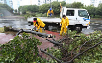태풍 '나크리' 영향…지붕 파손·가로수 전도·정전 등 피해 속출